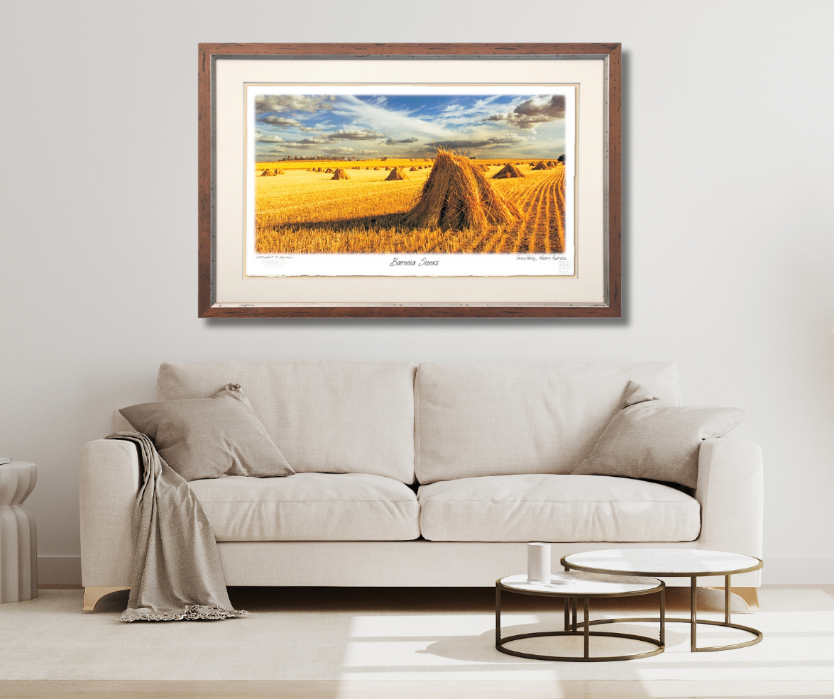 #154 - "Baroota Stooks" - Grass Valley Western Australia