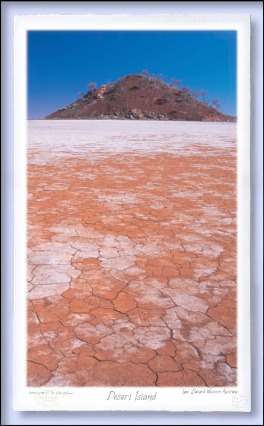 #158 - "Desert Island" - Lake Ballard, Western Australia