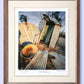 #161 - "Fred's Thunderbox" - Fred Wilkin's Outdoor Toilet