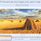 #154 - "Baroota Stooks" - Grass Valley Western Australia