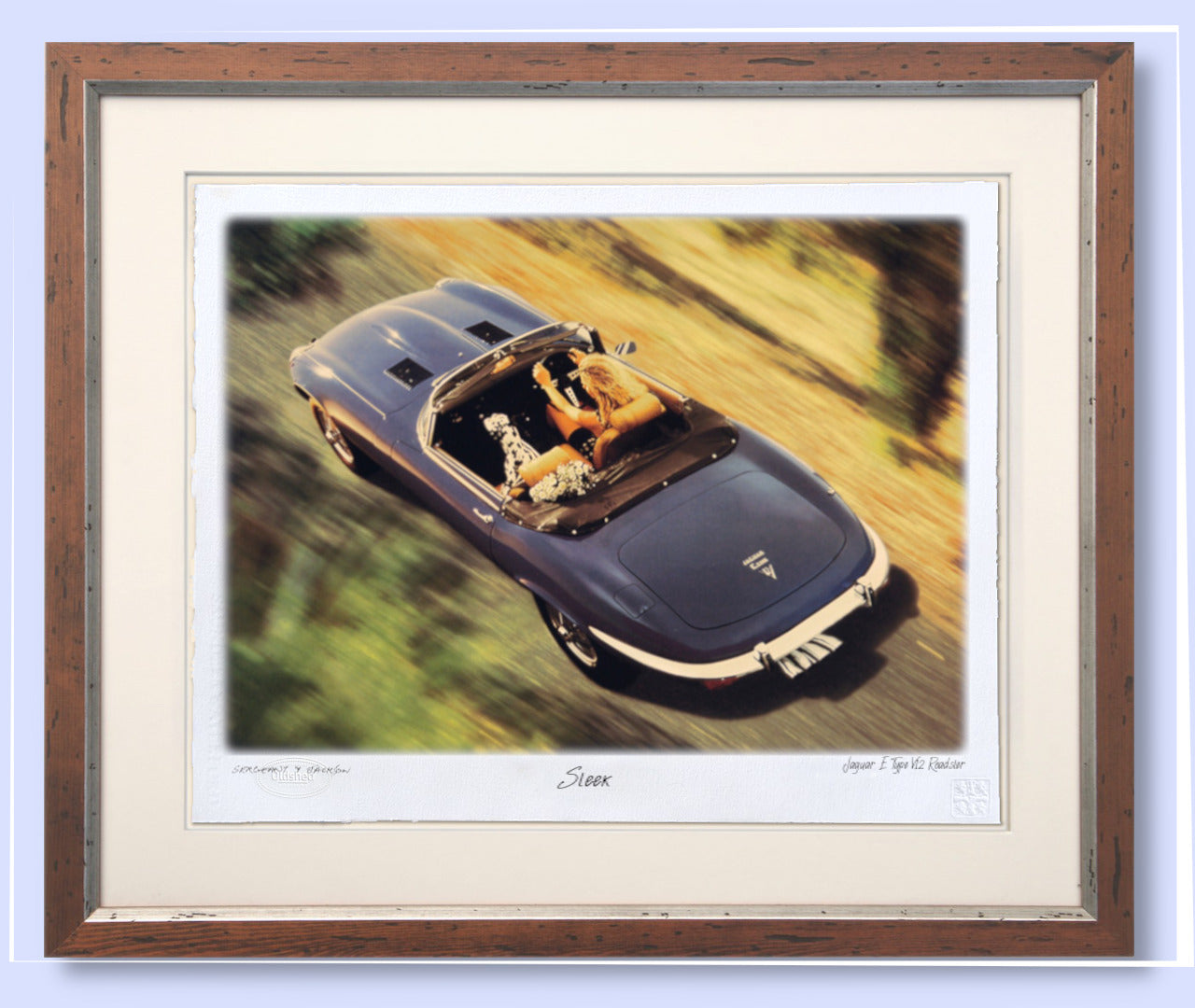 LS 007 - "Sleek" - Jaguar E Type V12 Roadster